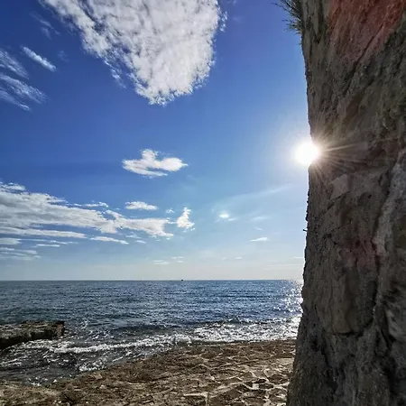Lora With Beautiful Sea & Park View Novigrad Istria