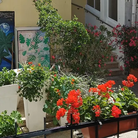 Lora With Beautiful Sea & Park View Apartman Novigrad Istria